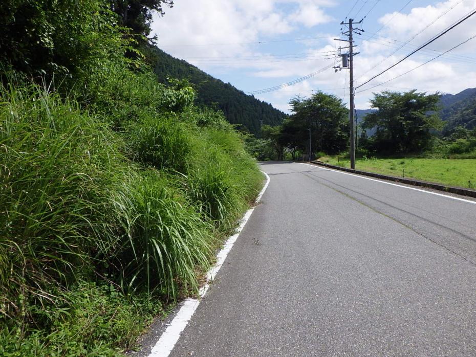 除草作業岩崎山辺線作業前