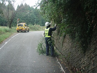 道路パトロール写真3